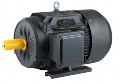 Vienfazis nuolatinio magneto sinchroninis variklis